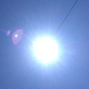 Meet your Posher, Rose